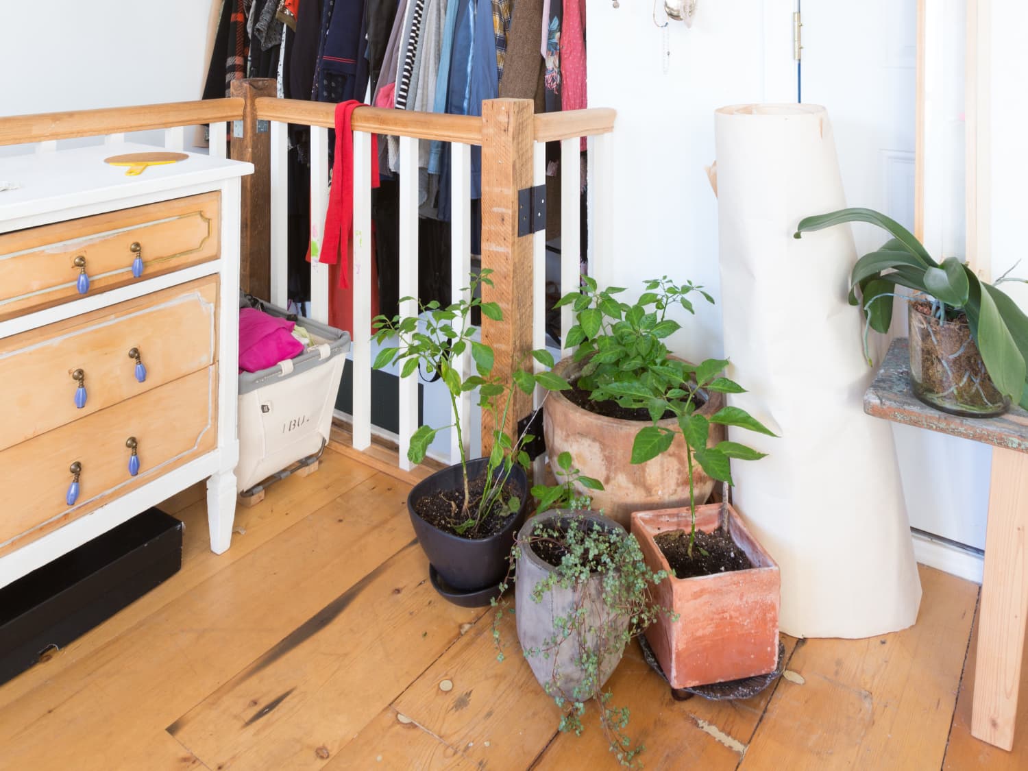 How to Store Winter Clothes Correctly Everything to Know Apartment Therapy